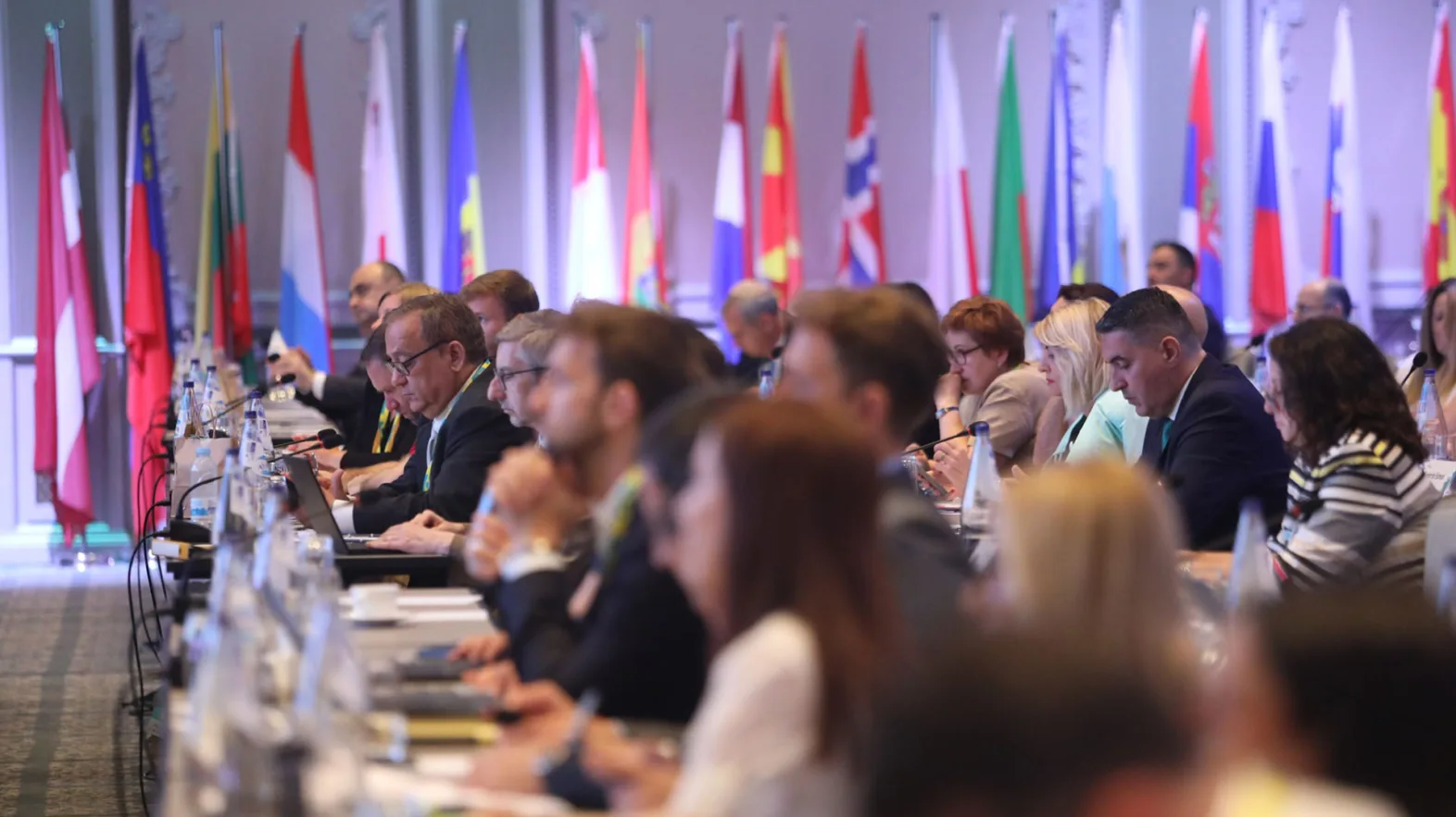 Many people sit at tables with name badges and microphones and follow a lecture. The flags of several countries are displayed in the background.