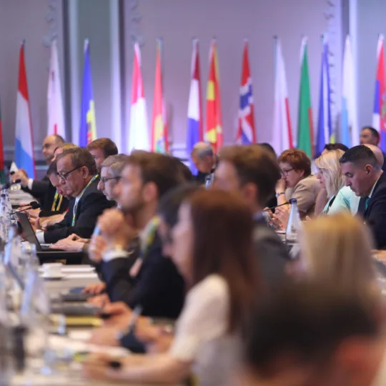 Many people sit at tables with name badges and microphones and follow a lecture. The flags of several countries are displayed in the background.