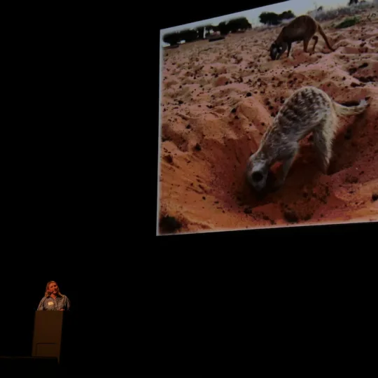 Dr Sofia Forss from the Institute of Evolutionary Biology and Environmental Sciences at the University of Zurich speaks on stage, with a presentation in the background.