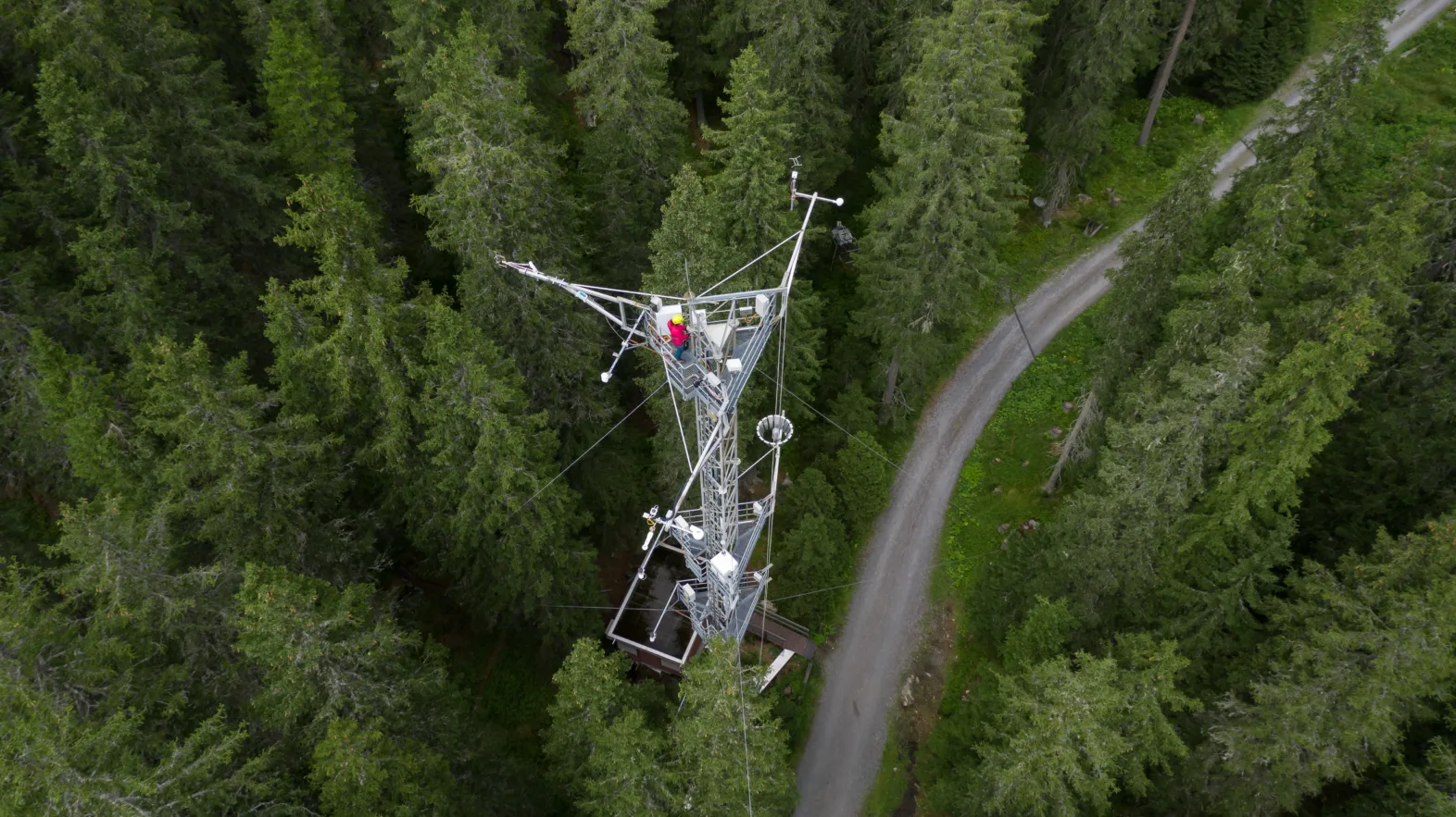 Une station de mesure vue d'en haut, au milieu d'une forêt.