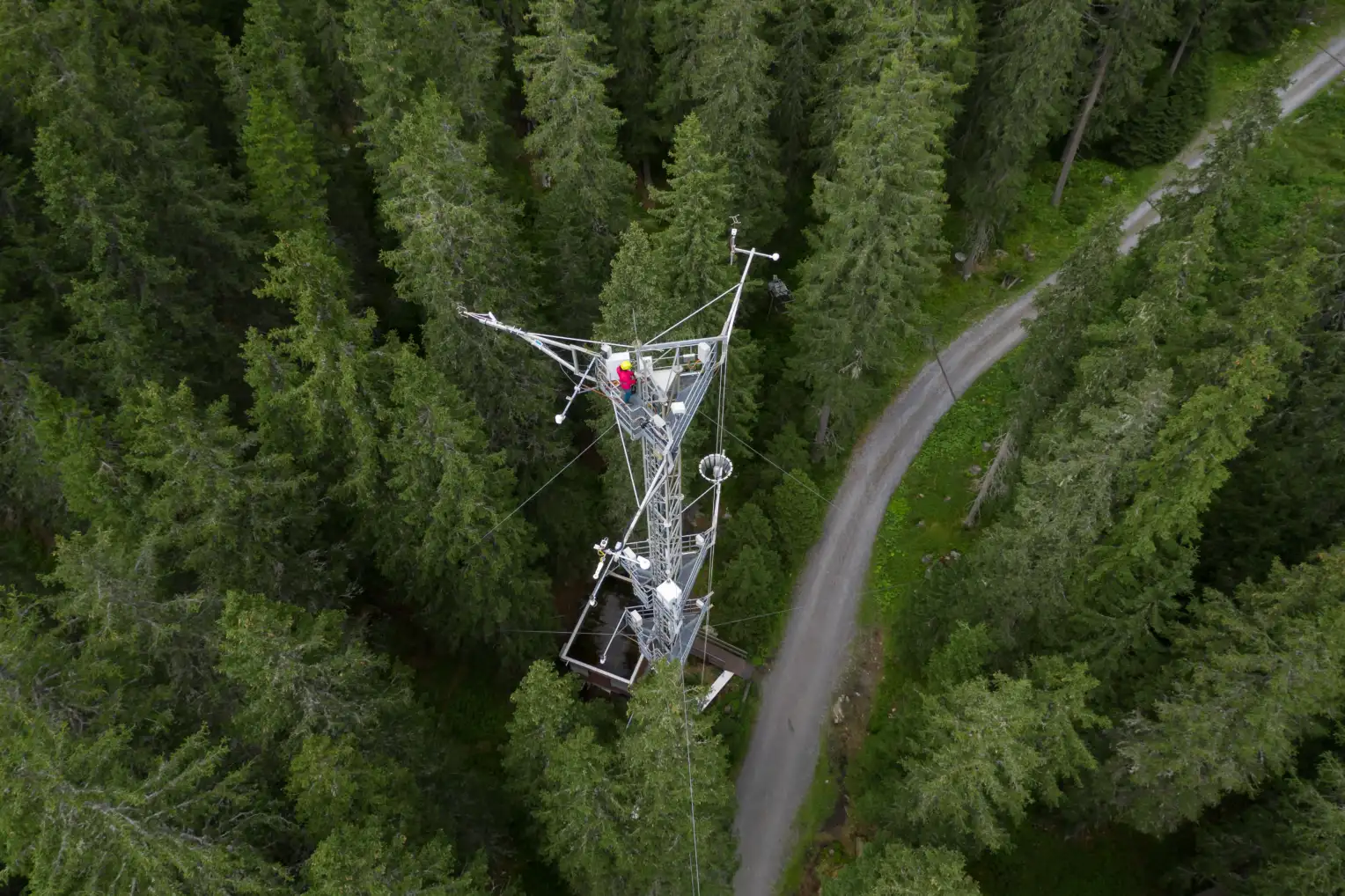 Une station de mesure vue d'en haut, au milieu d'une forêt.